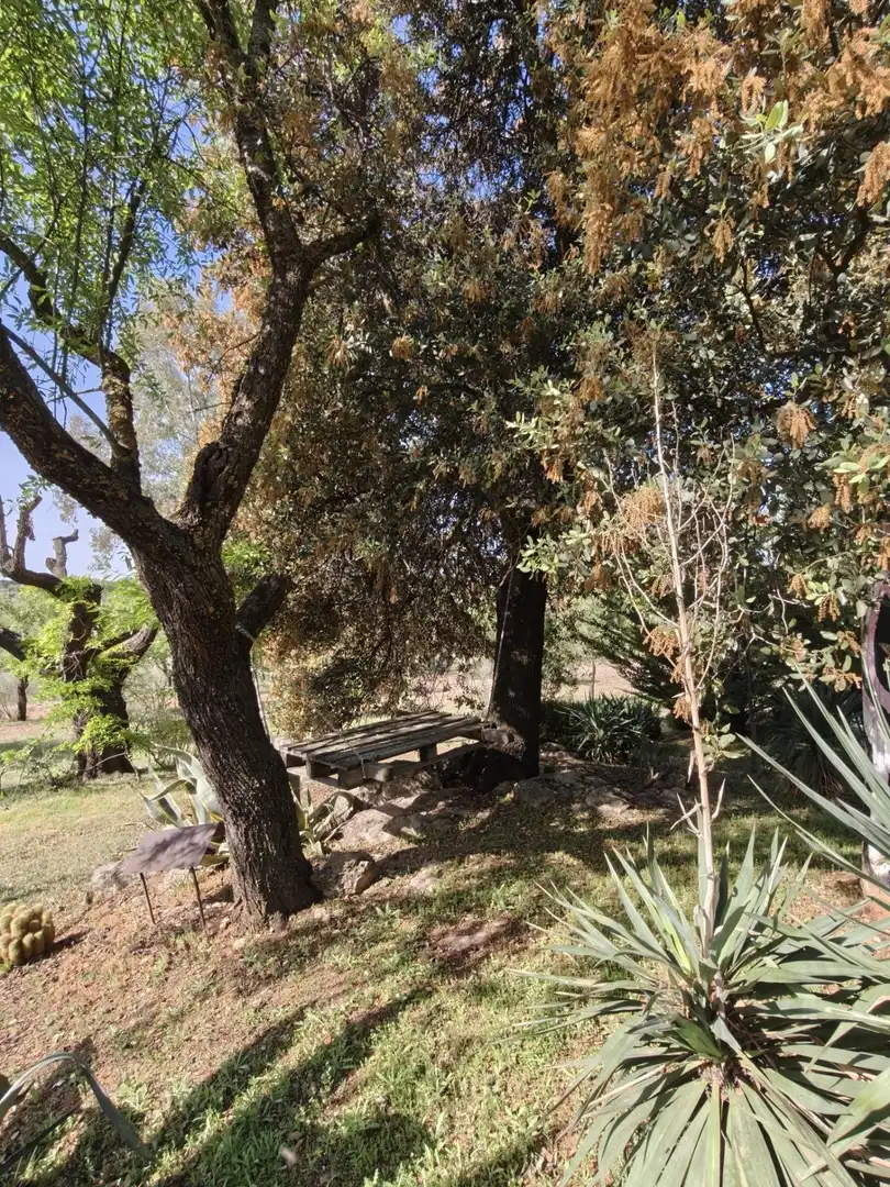 Chalet en venta en CERRO PALOS poligono 45 parcela 63, imagen 18