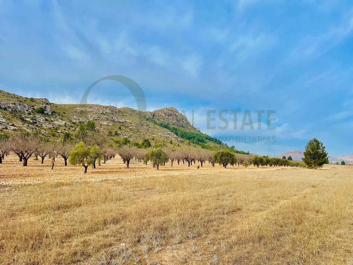 Residencial en venta en Villena