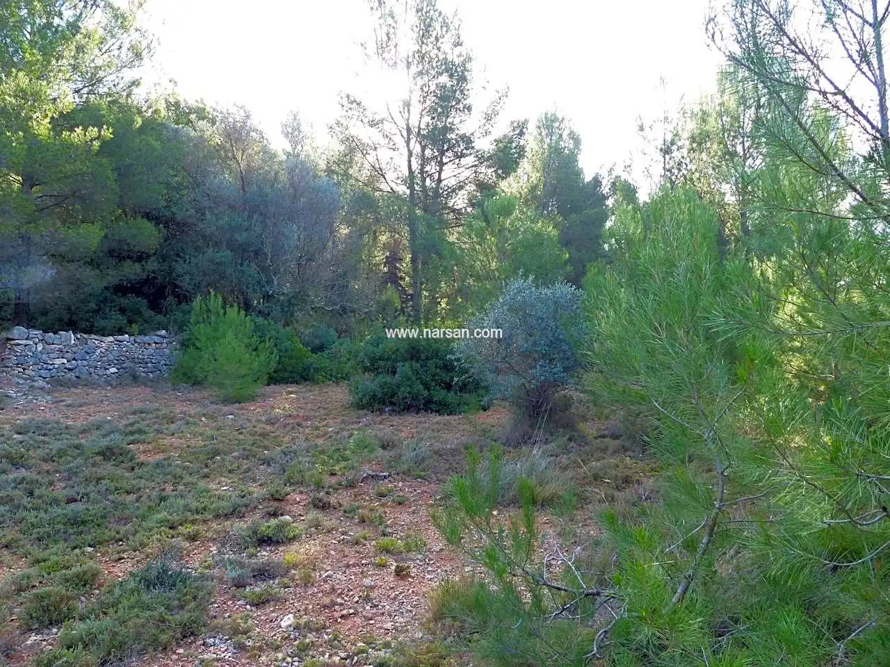 Terrain rustique à vendre à La Pobla de Tornesa, imagen 7