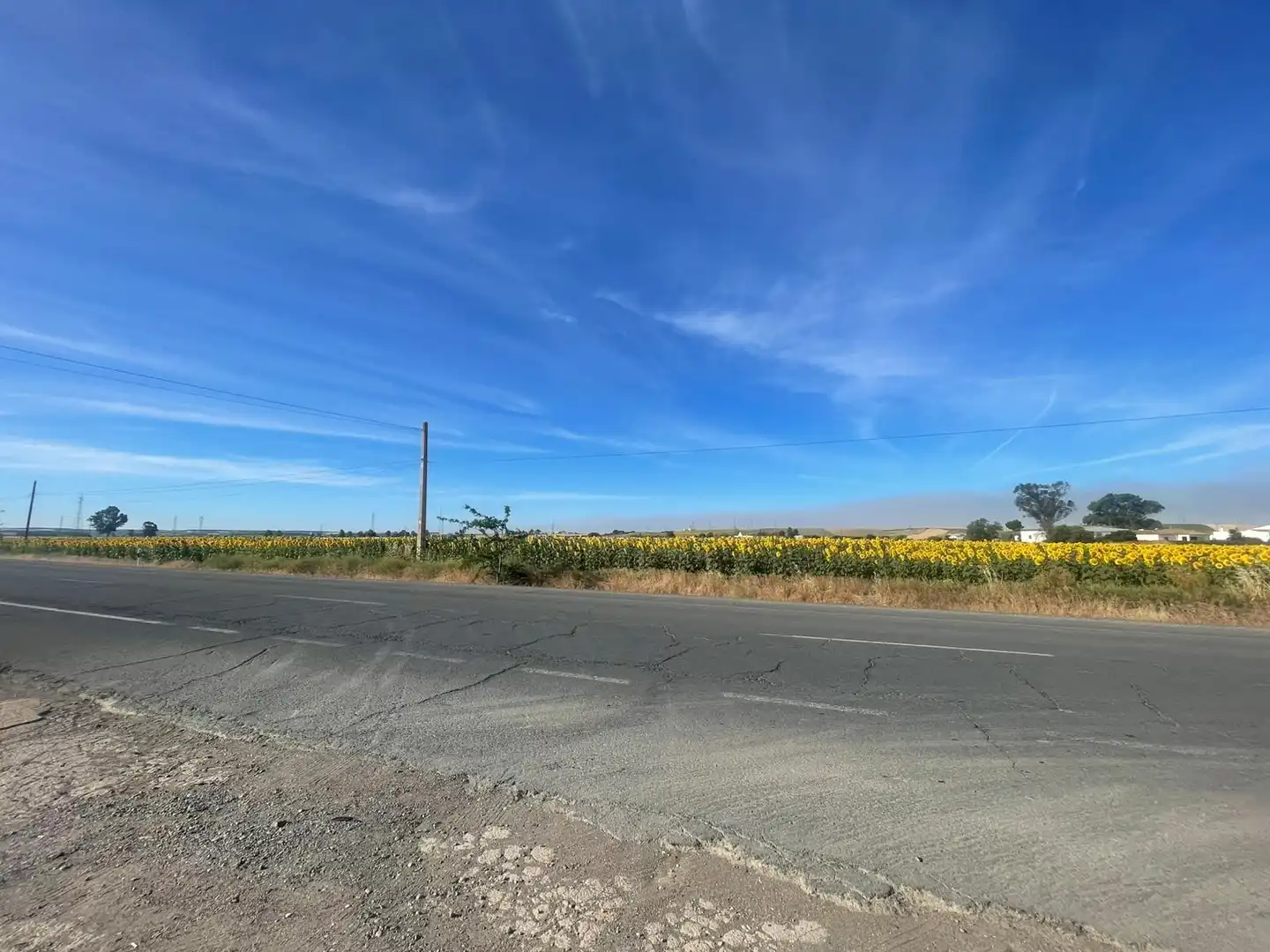 Land for sale in Huelva