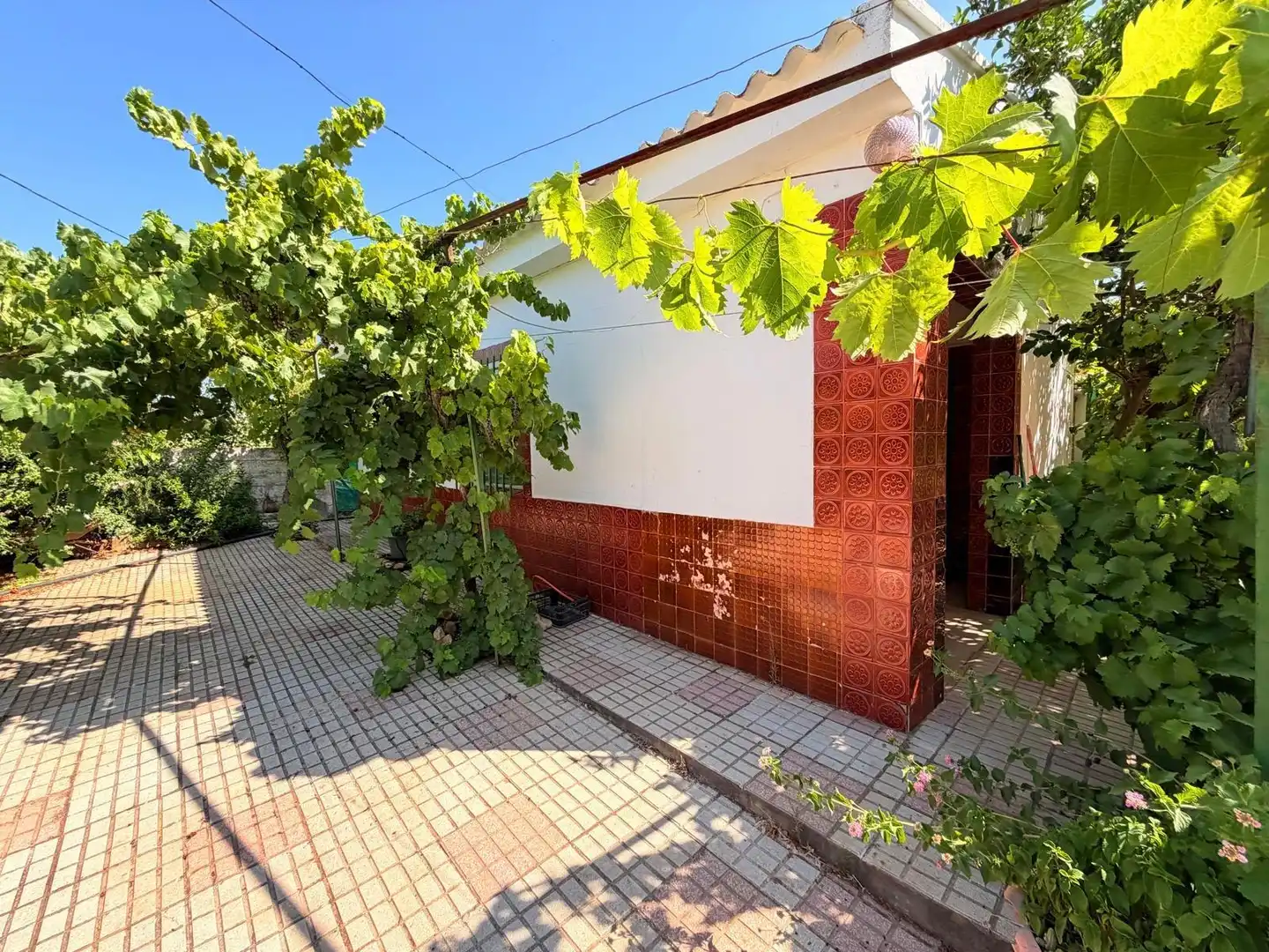 Vista exterior de Casa o chalet en venta en Valverde de Mérida con Jardín privado, Terraza y Trastero