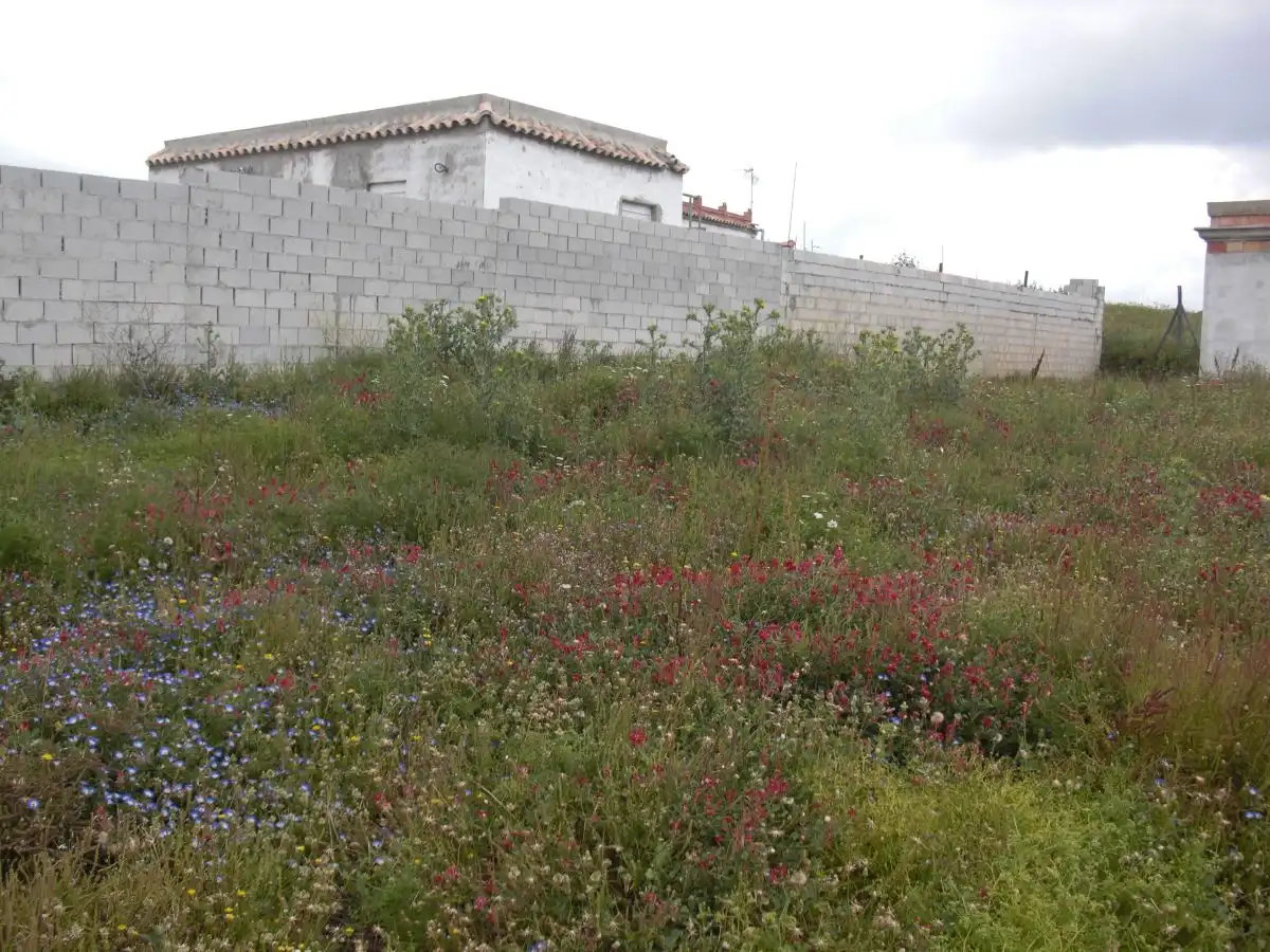 Casa rústica en venda a Vejer, imagen 16