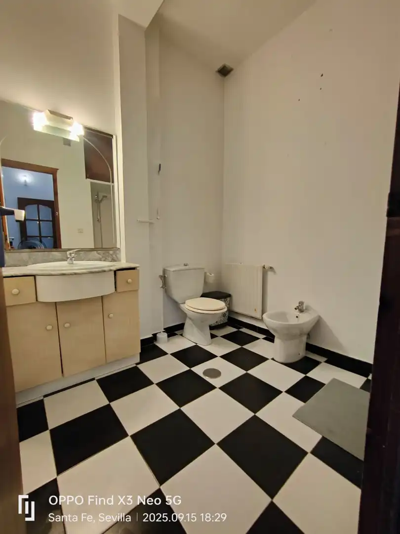 Baño de Casa o chalet en venta en Carmona con Terraza
