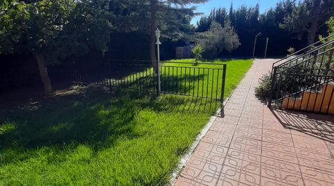 CHALET CON GRAN COCHERA, PISCINA Y 170 OLIVOS, imatge 5