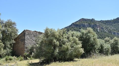 Finca rústica con maset en Valderrobres, immagine 3