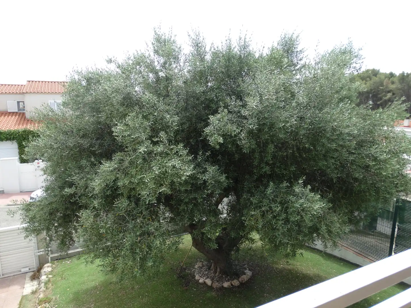 Garden of Houses for sale in El Catllar   with Heating, Private garden and Terrace