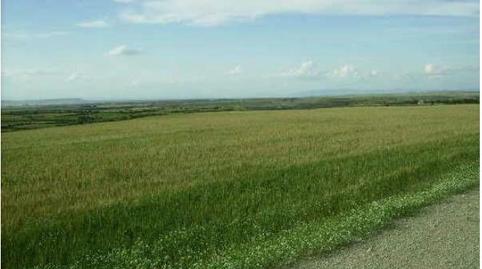 Foto 2 de Terreno en venta en Ontiñena, Huesca