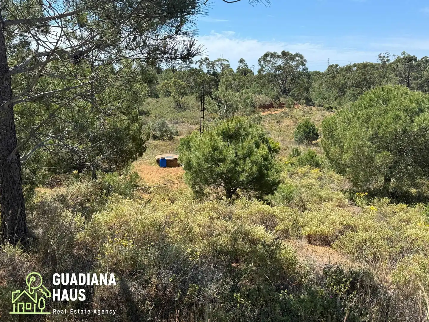 Finca rústica en venda en Ayamonte