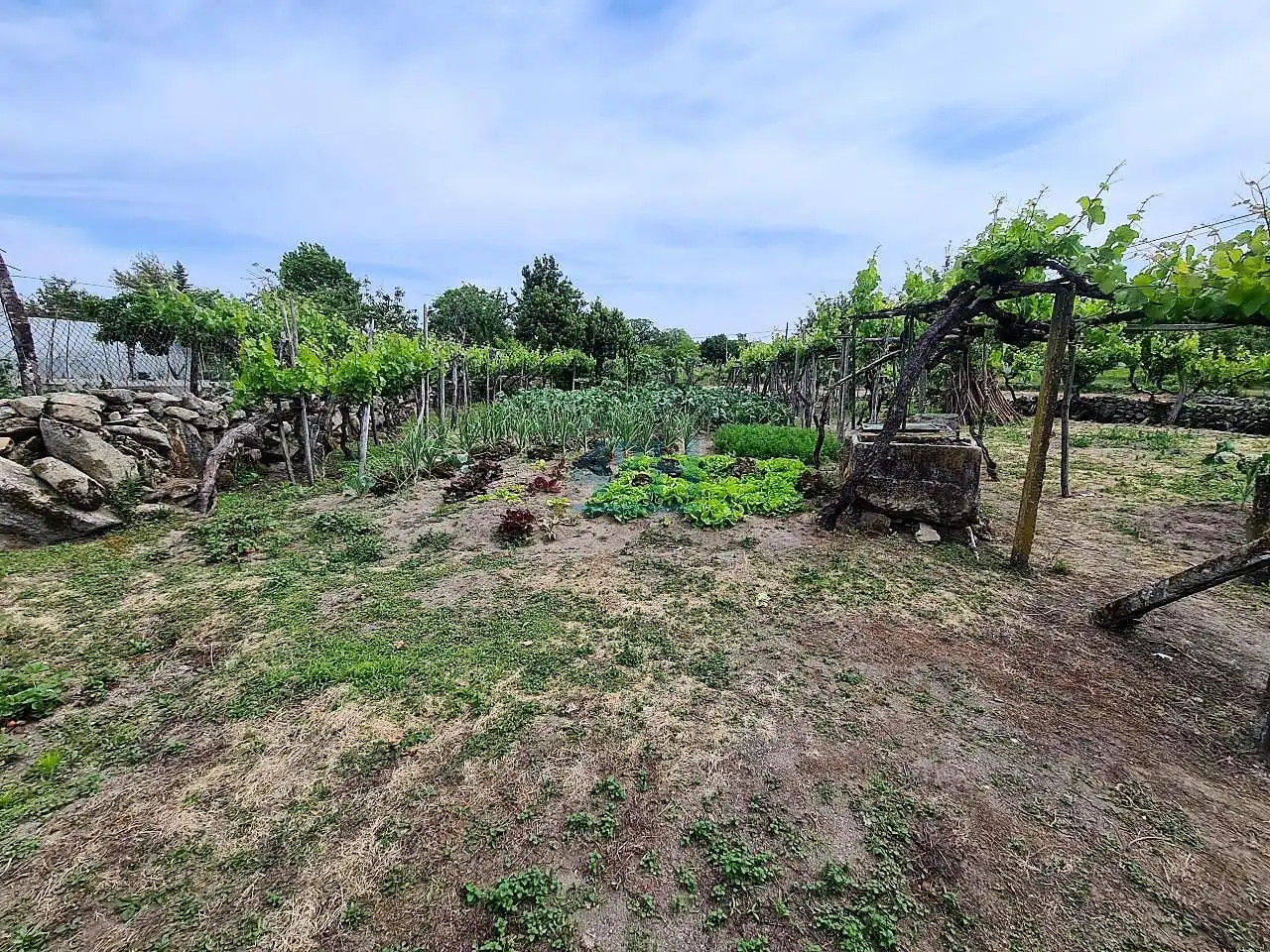Casa amb jardí en venda a Amoeiro, imagen 15