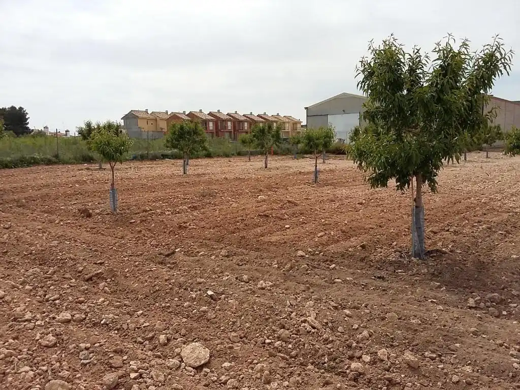 Terreny rústic en venda a CERCA (LA), imagen 6