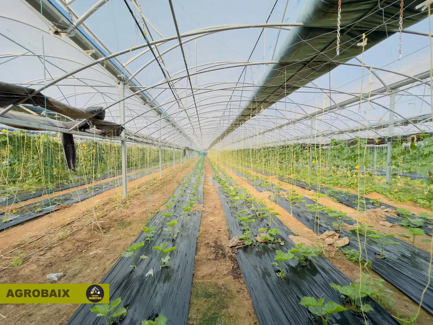 Terreno rustico in vendita a Vilamarina, imagen 17