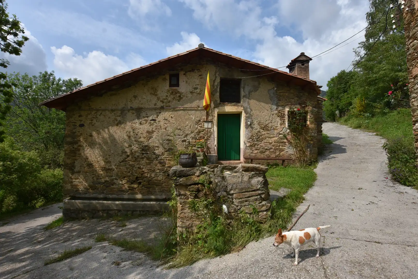 Landhaus mit Garten zum Verkauf in Vilallonga de Ter, imagen 4