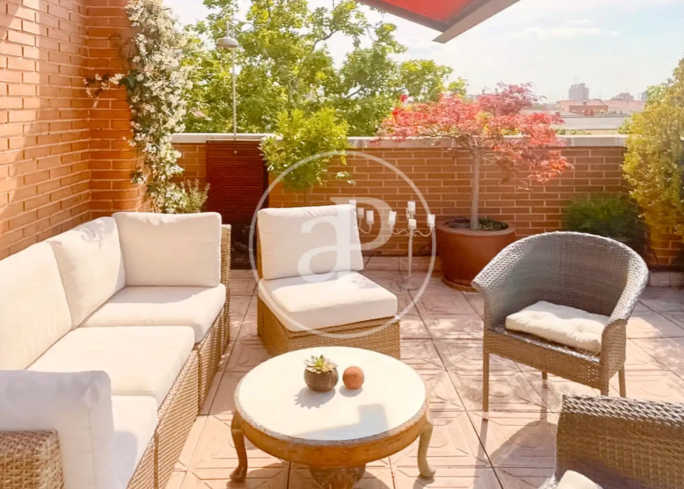 Terraza de Ático de alquiler en Madrid con Aire acondicionado, Calefacción y Jardín privado