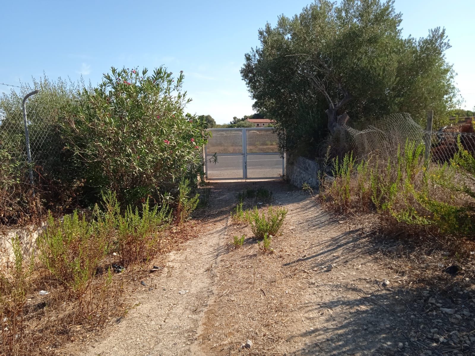 Grundstücke zum verkauf in Sineu