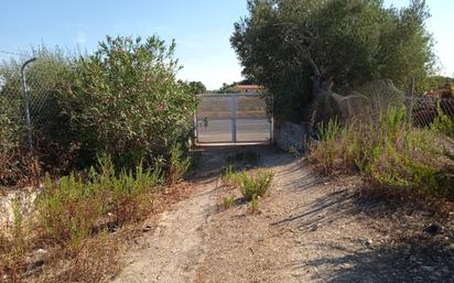 Land for sale in Sineu