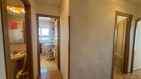 2016 Apartamento en Primera Linea de playa Muchavista 12º, imatge 3
