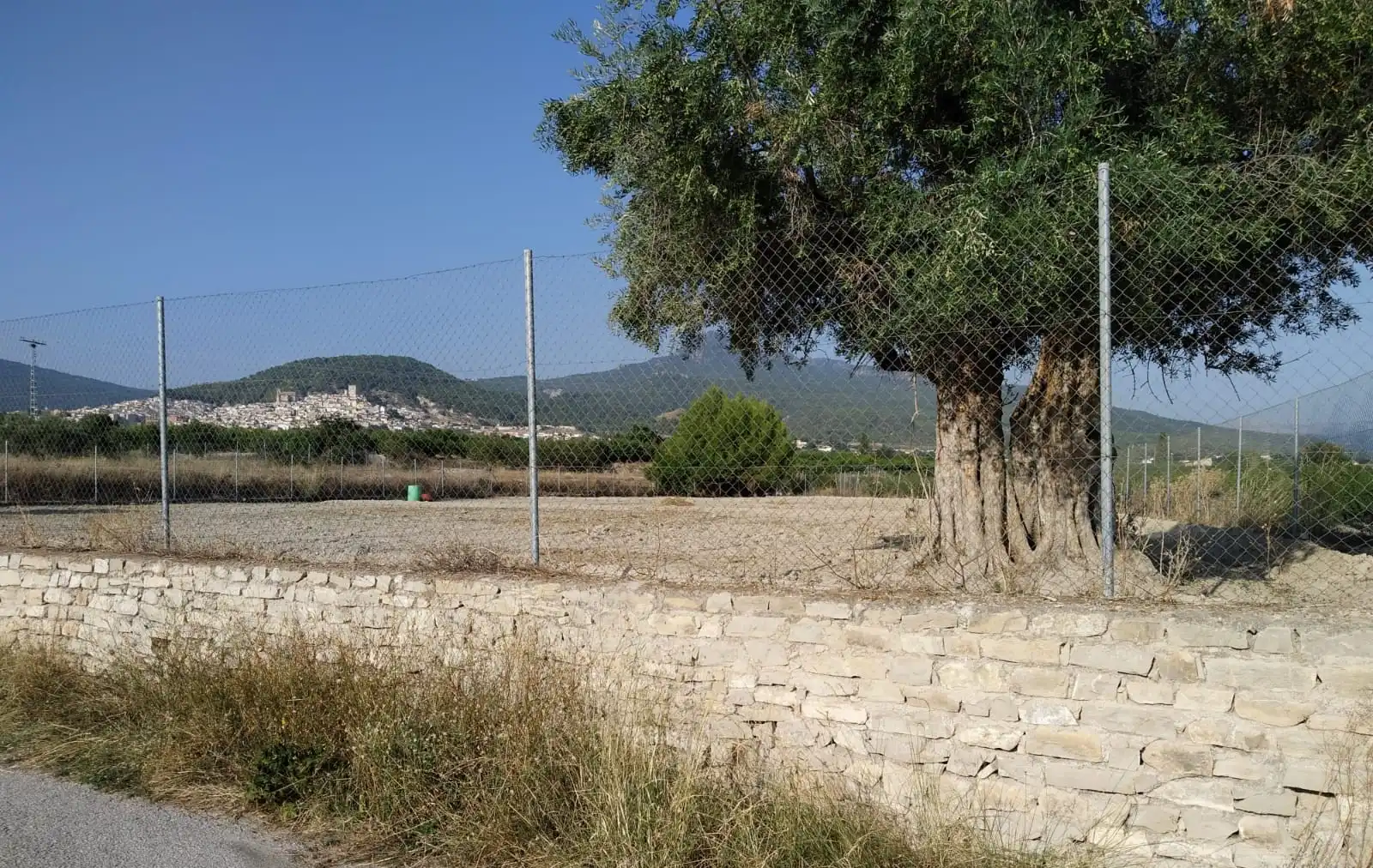 Terreni e lotti in vendita a FINCA, imagen 9