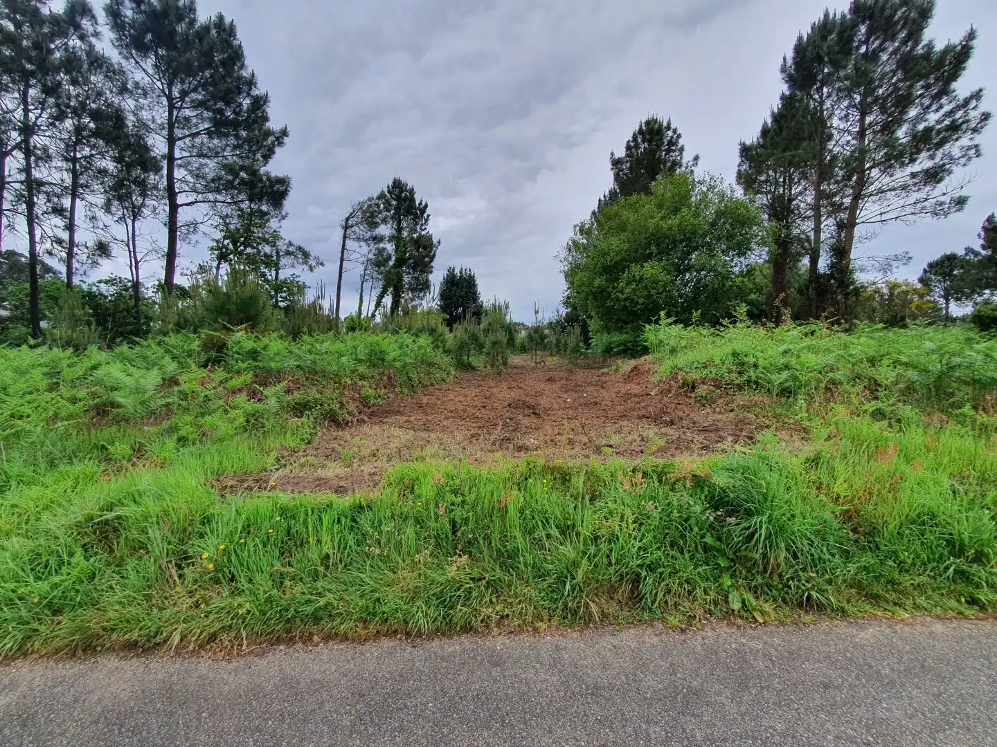 Maison avec jardin à vendre à Lugar Ponte 40, imagen 10