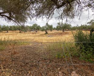 Finca rústica en venda en Cañaveral de León