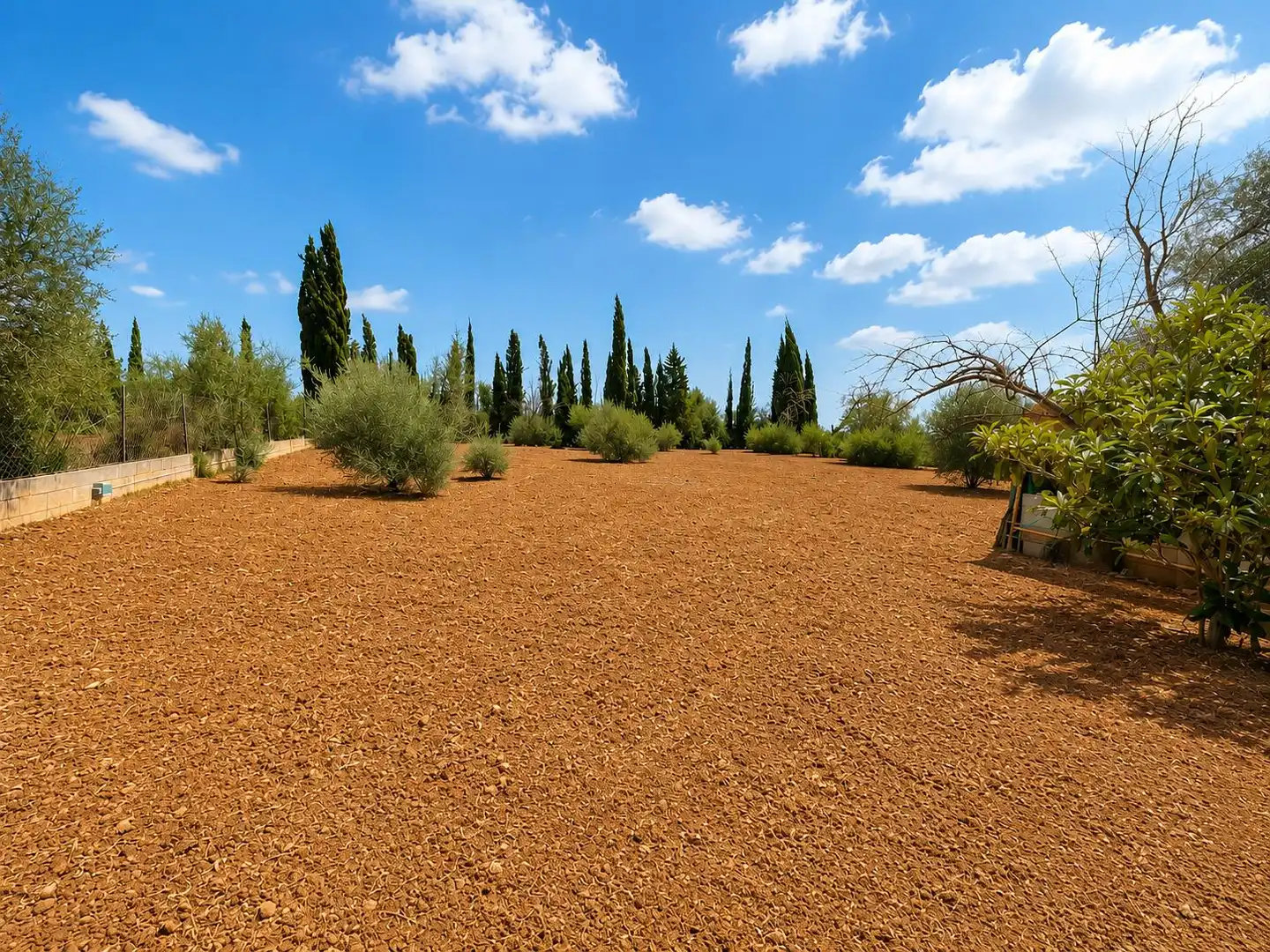 Casa o chalet en venta en Santa Eugènia con Jardín privado y Terraza