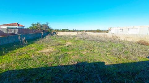 Foto 2 de Terreno en venta en Calle las Boneas, 4, Carretera de Sanlúcar - Sudamérica, Cádiz