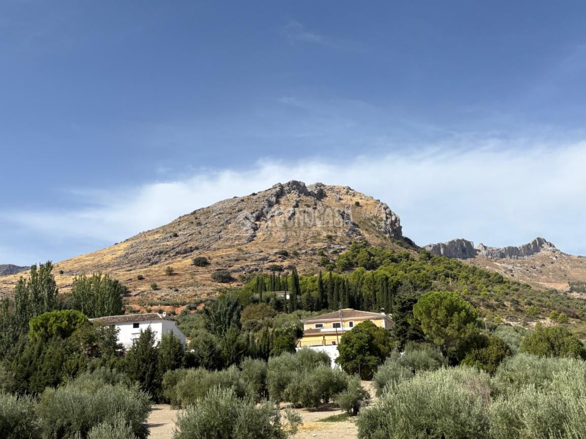 Exterior view of Flat for sale in  Jaén Capital  with Terrace and Balcony