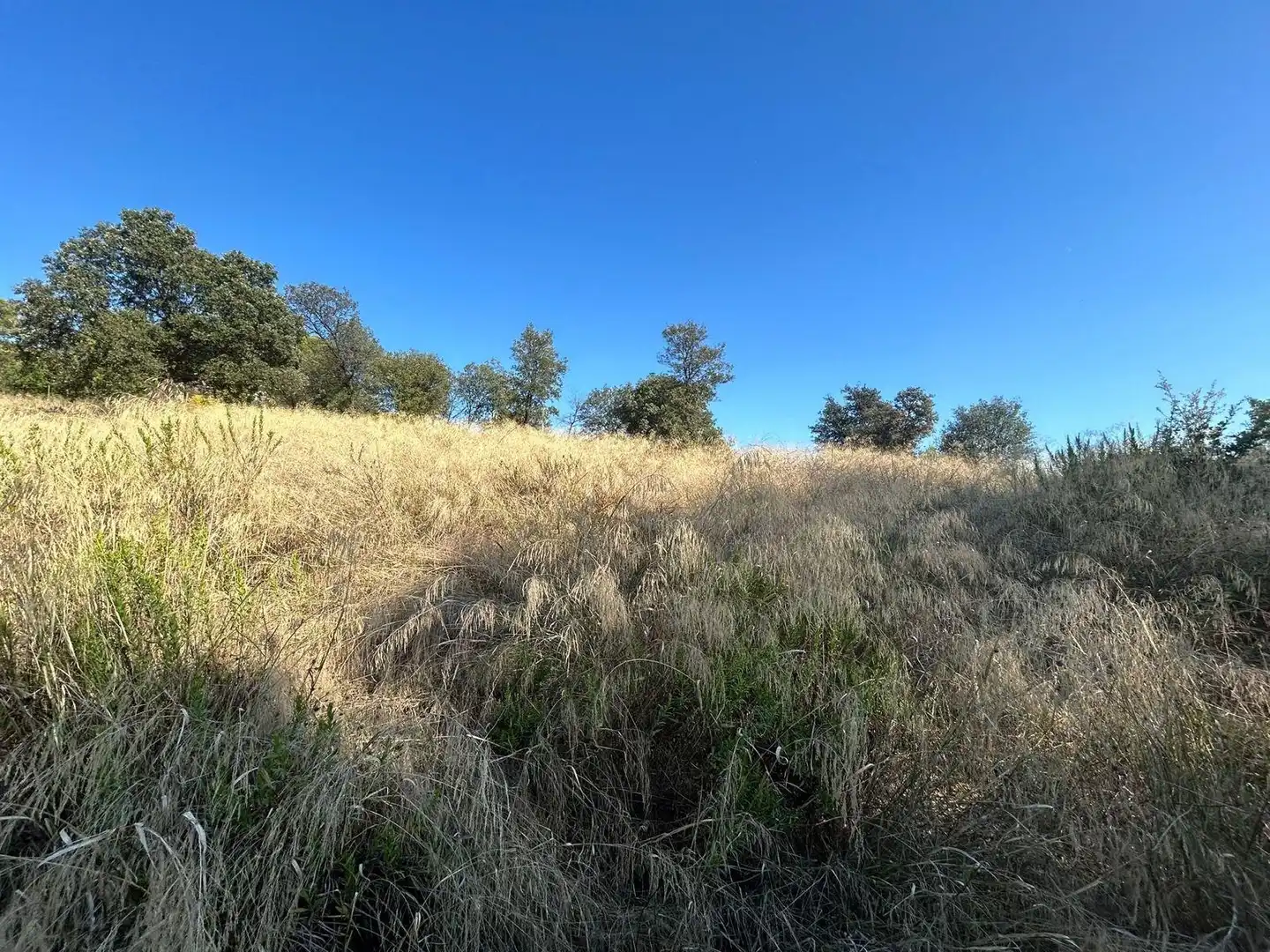 Terrain résidentiel à vendre à Carrer CEDRE, imagen 11