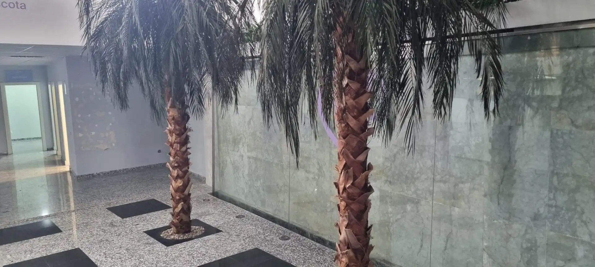 Gewerbefläche zur Miete in Paseo Marítimo - San José - La Laguna, imagen 2