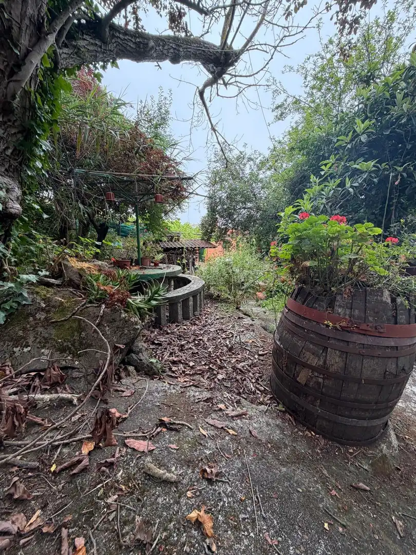 Terreno rustico in vendita a El Bebedero - Pinolere - Aguamansa, imagen 45