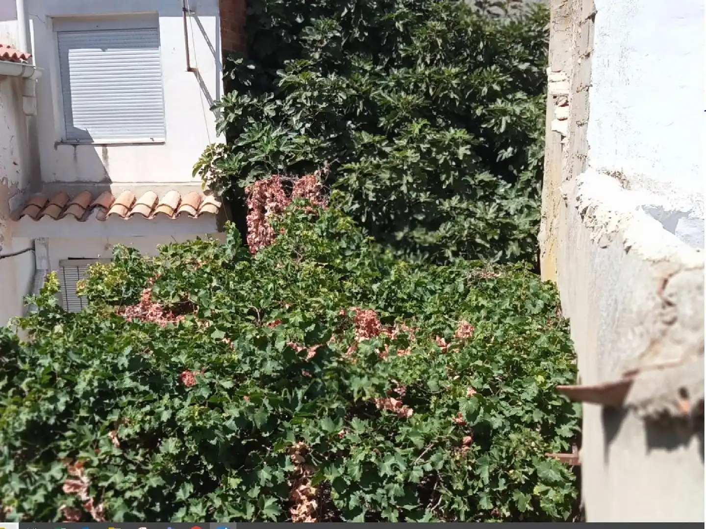 Vista exterior de Casa o xalet en venda en Balsa de Ves amb Terrassa