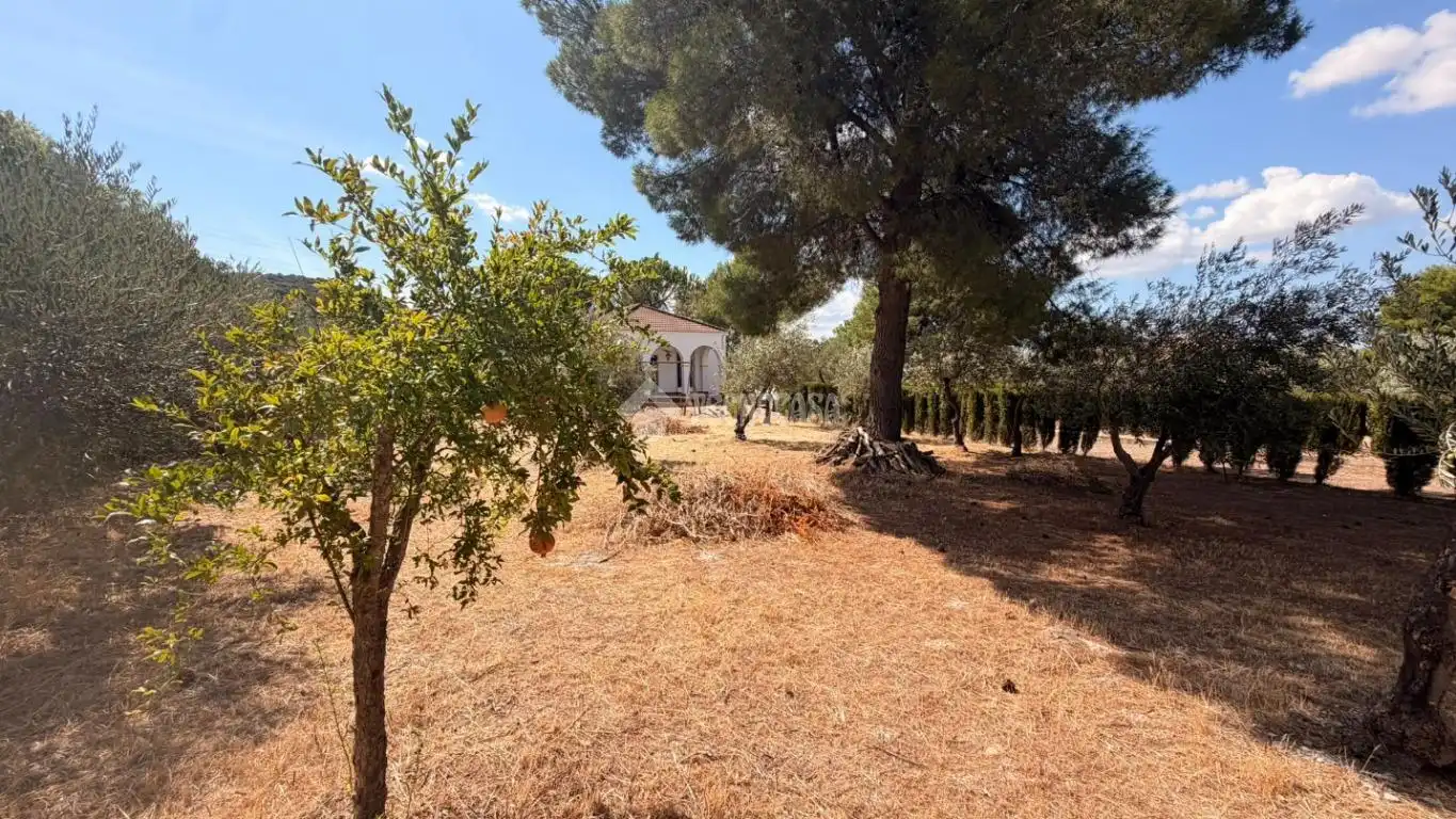 Casa rustica con piscina in vendita a EL ALGARROBO, imagen 27
