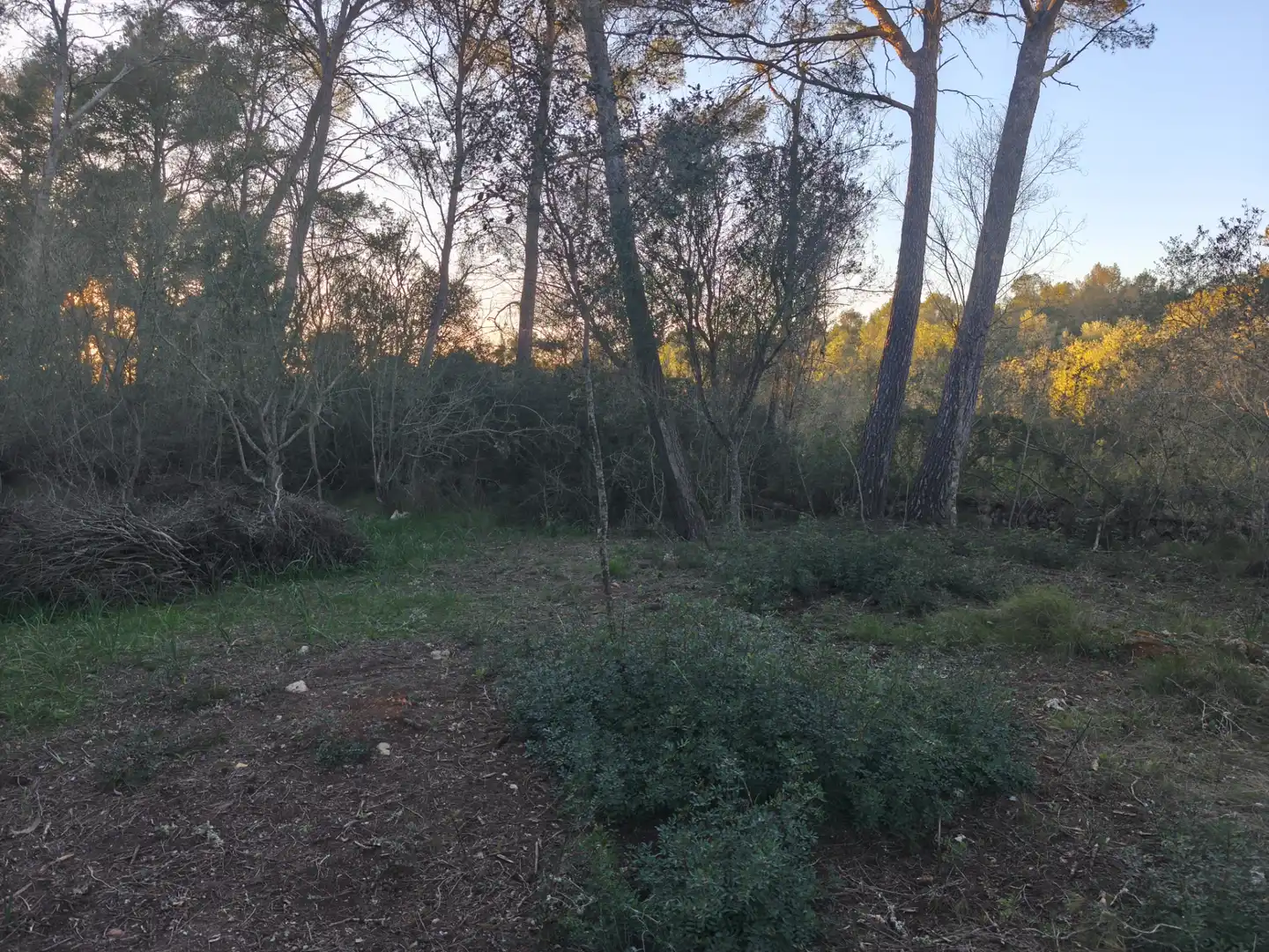 Terreno rustico in vendita a Algaida, imagen 11