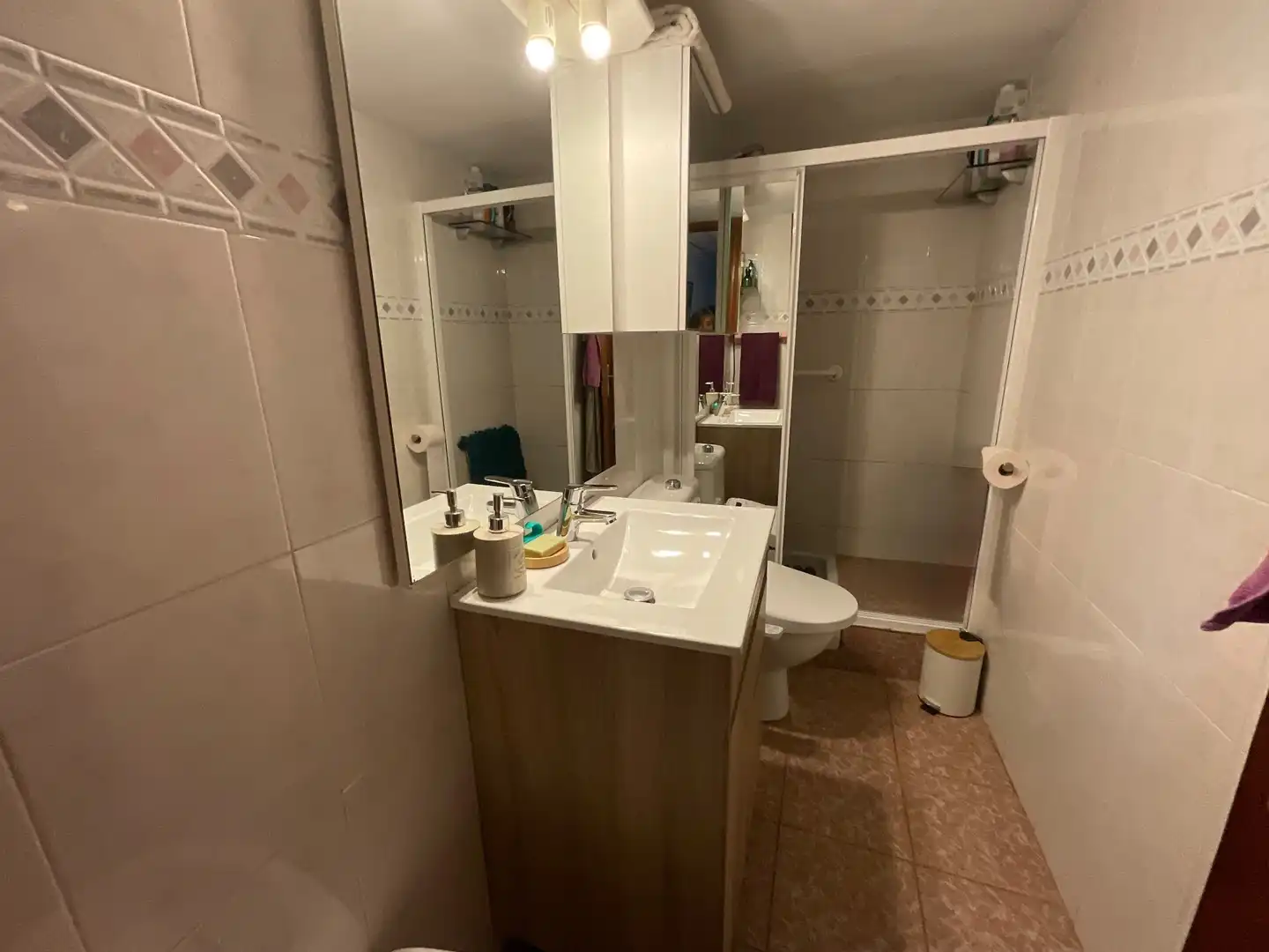 Baño de Casa o chalet en venta en Antequera con Trastero