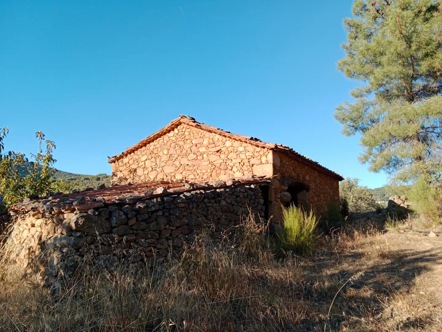 Vista exterior de Terreno en venta en Barrado