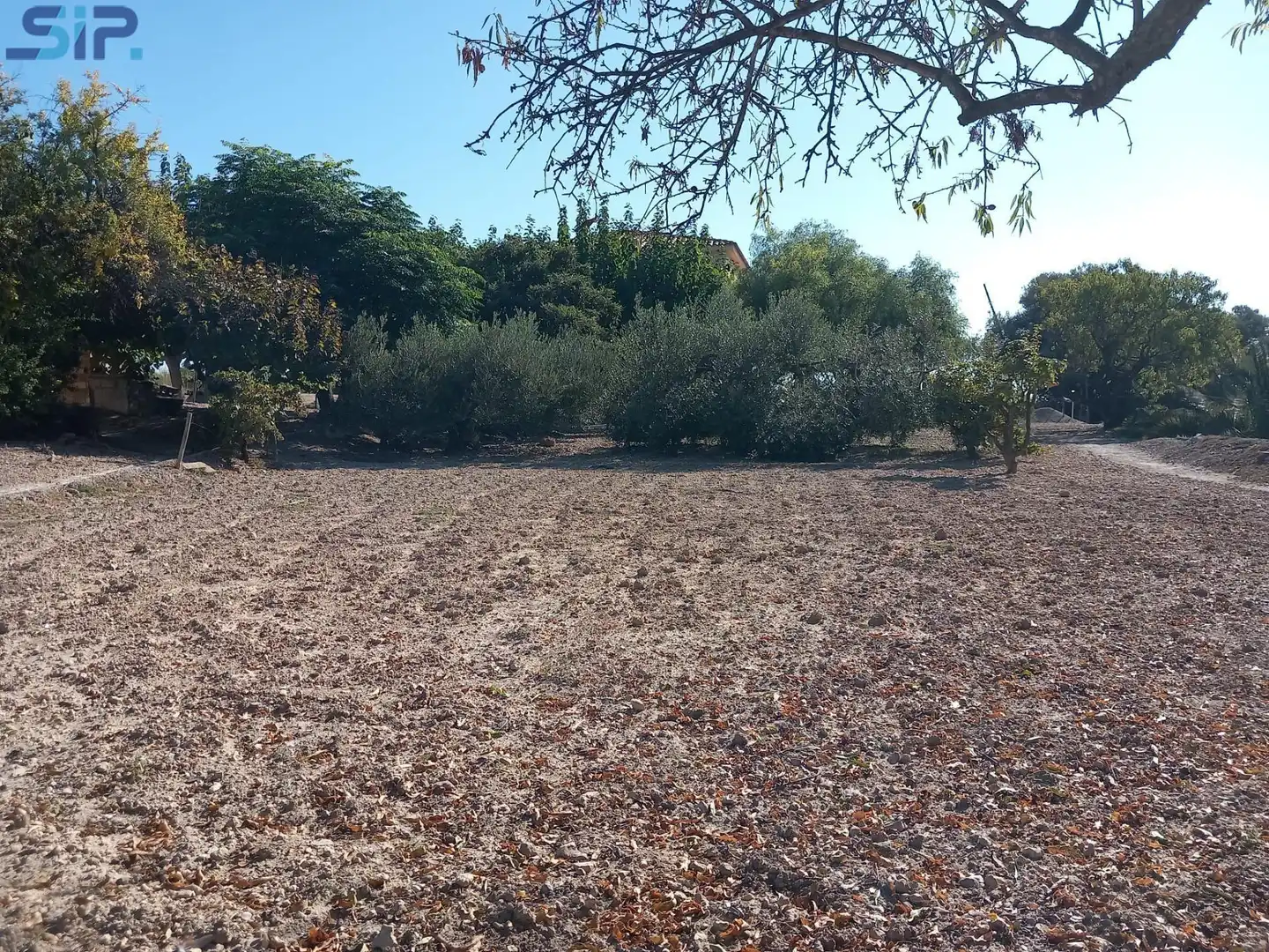 Houses for sale in Sant Martí Sarroca  with Storage room