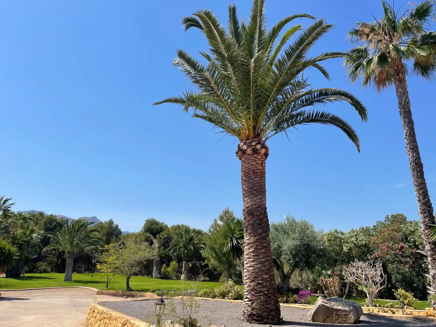 Garden of Houses for sale in L'Alfàs del Pi  with Air Conditioner, Heating and Private garden