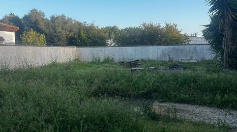Foto 3 de Casa o chalet en venta en Pelagatos - Pago del Humo, Chiclana de la Frontera