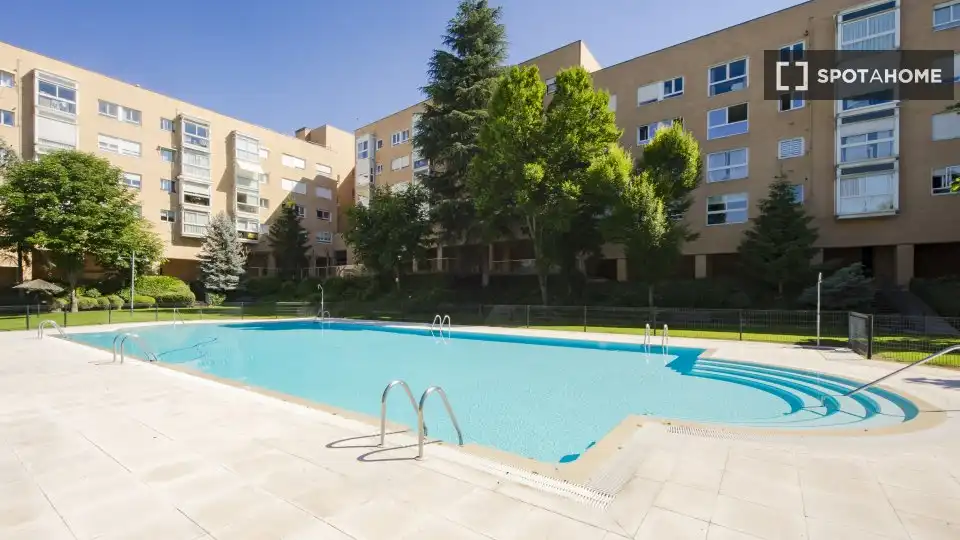 Swimming pool of Flat for rent in Madrid  with Air Conditioner, Heating and Furnished