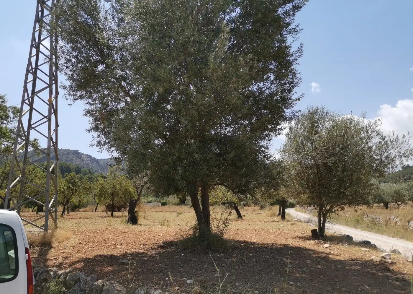 Terreno en venta en Orba