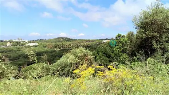 Terrenys i solars en venda a Sotogrande Alto, imagen 3