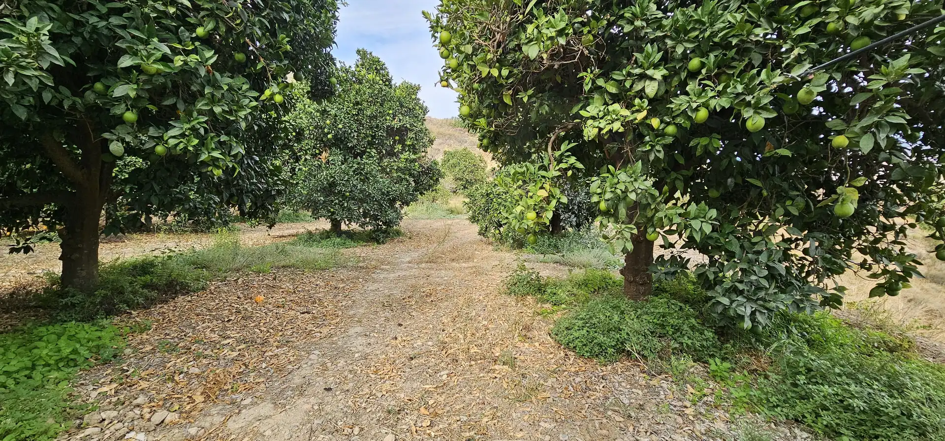 Residencial en venda en Íllar