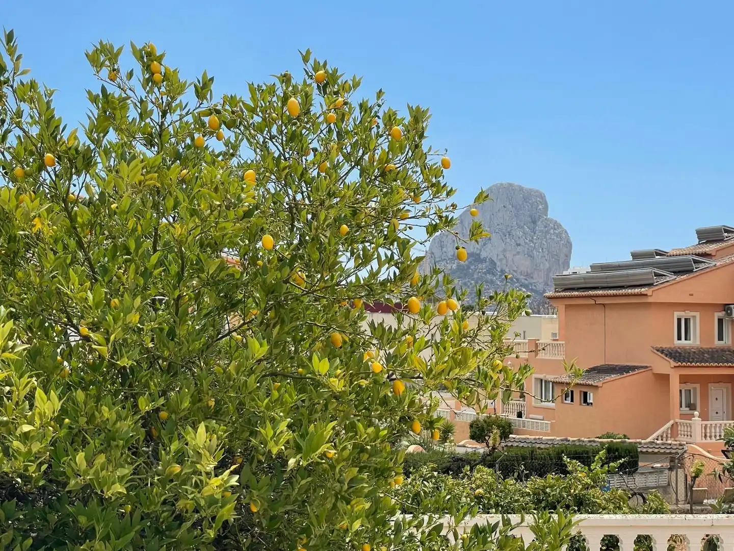 Garden of Houses for sale in Calpe / Calp  with Air Conditioner, Private garden and Terrace