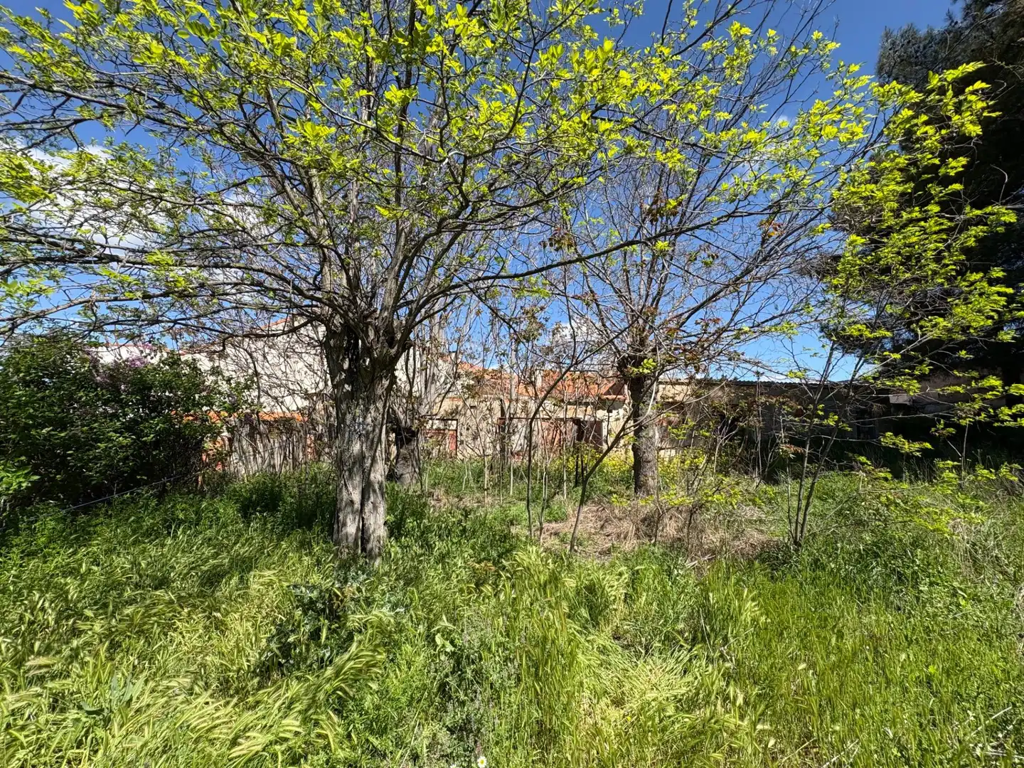 Residential zum Verkauf in Villalbilla