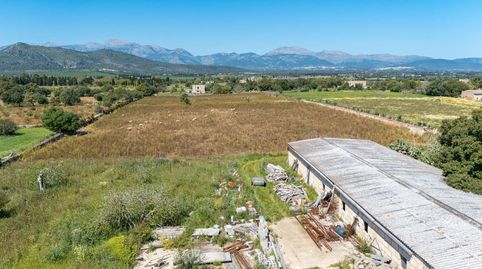 Mehrere Grundstücke mit Traumblick bei Llubí  Ideale Fläche für Neubauprojekte auf Mallorca, Obj. 9673, imatge 3