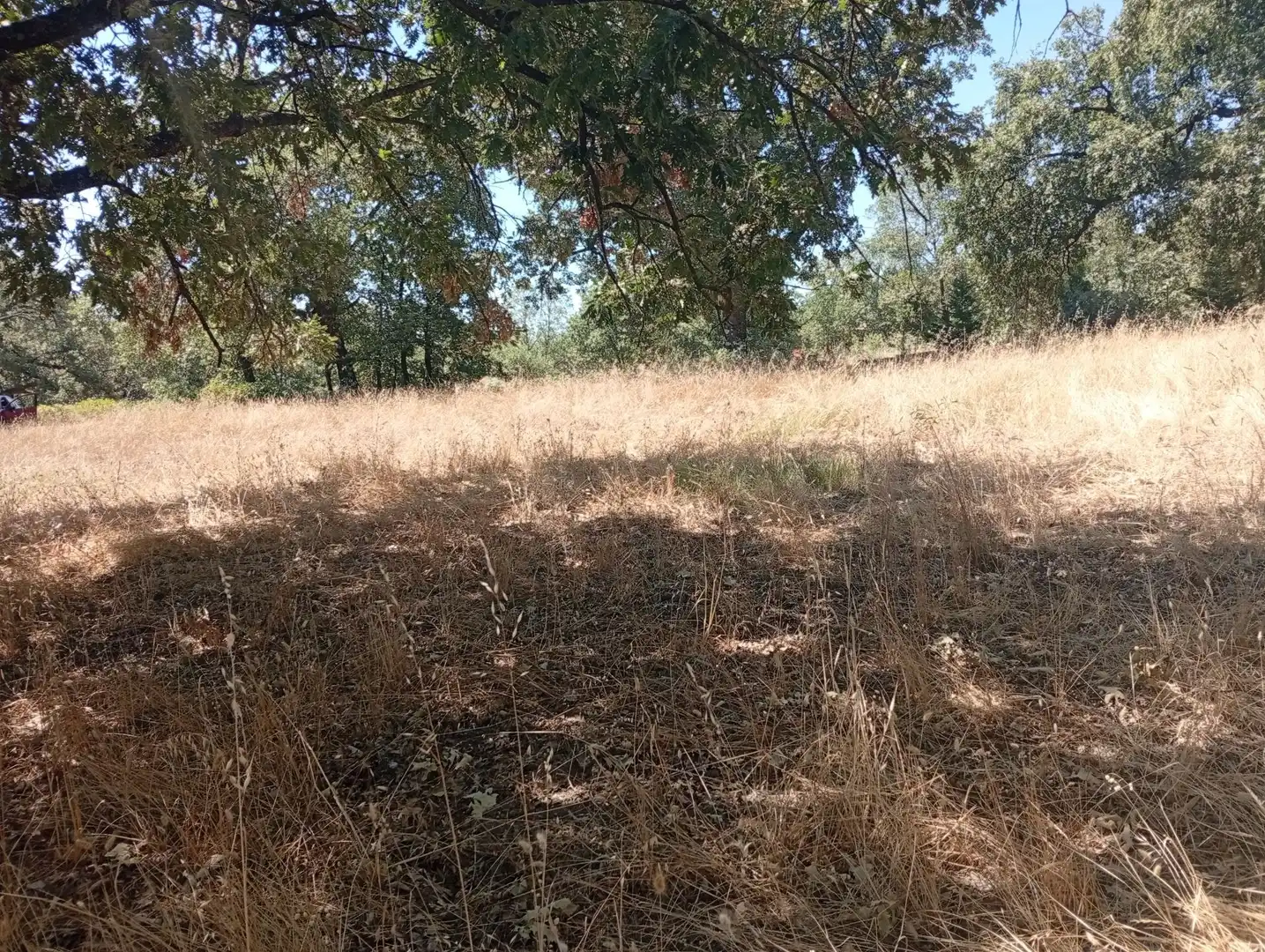 Terreni e lotti in vendita a Villanueva de la Vera, imagen 18