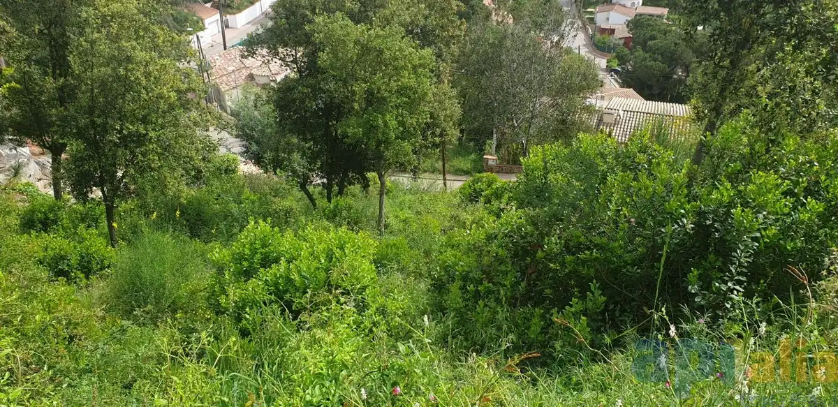 Wohnbaugrundstück zum Verkauf in Carrer Xiprer, imagen 5