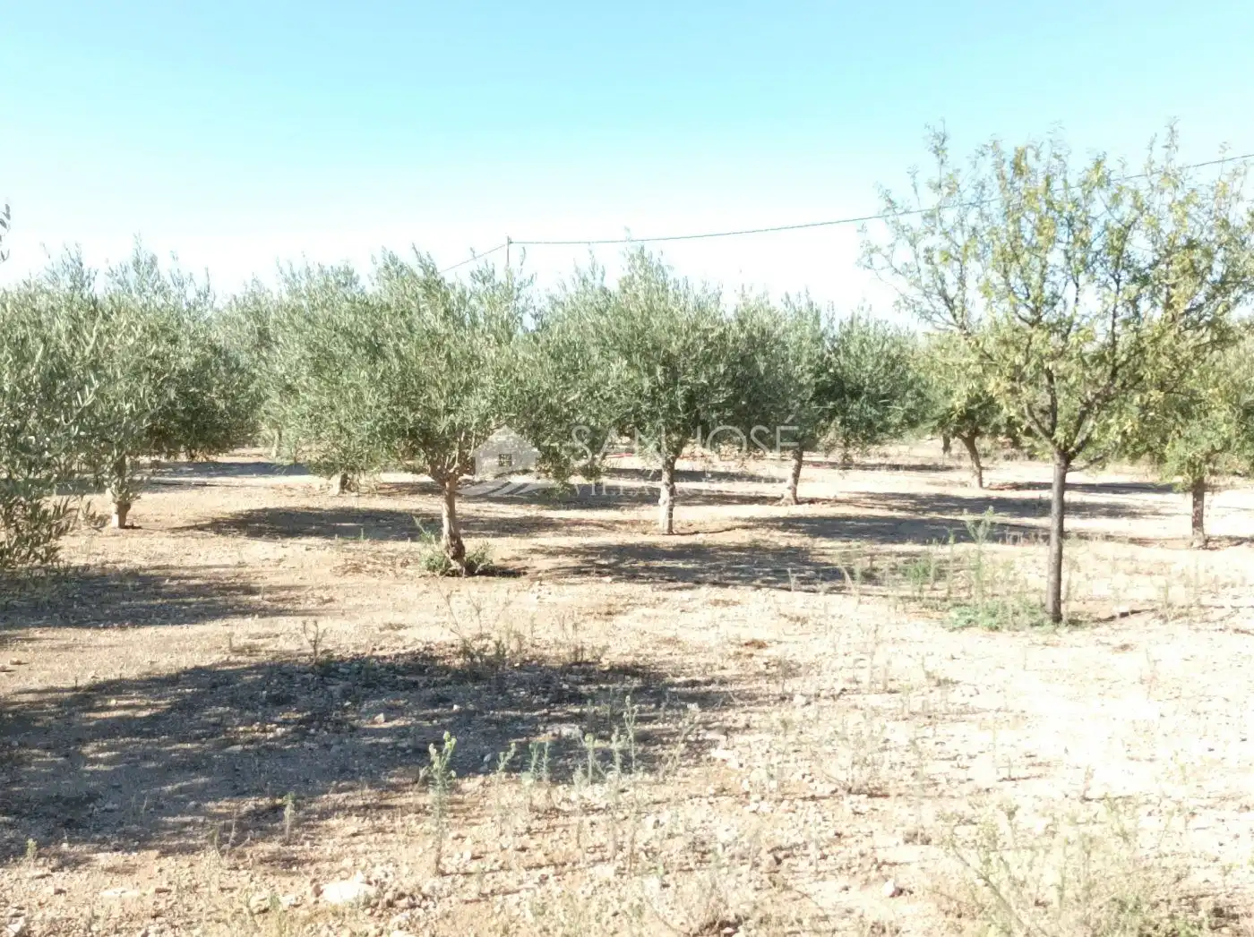 Villa avec jardin à vendre à Monforte del Cid, imagen 43