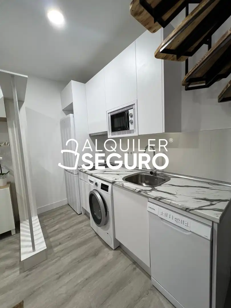 Loft con ascensore in affitto a del Puente Cultural, imagen 8