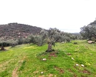 Residential for sale in 7. Parcela, Villanueva del Rey
