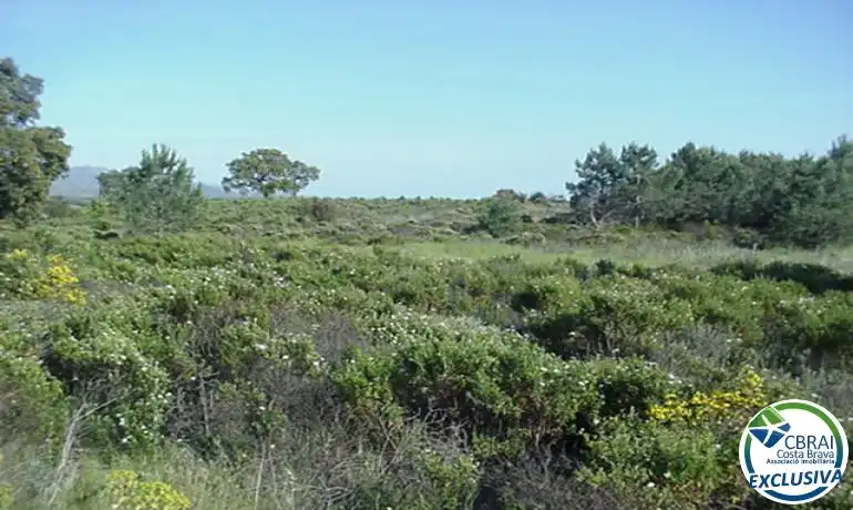 Terrenys i solars en venda a Garriguella, imagen 16